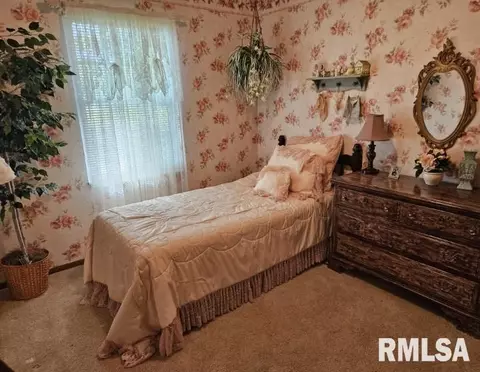 15780 E Breezeway Rd, Texico, IL 62889 photo 9