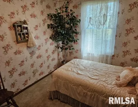 15780 E Breezeway Rd, Texico, IL 62889 photo 35