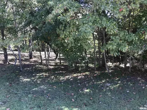 lot1031 John Able Dr, Goreville, IL 62939