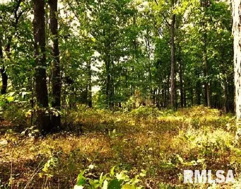 000 Campbells Corner Rd, Mcleansboro, IL 62859