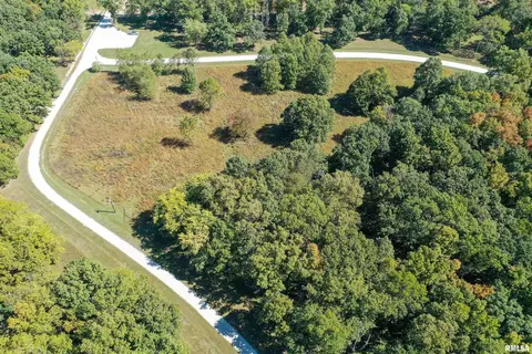 lot2 A Deer Park Dr, Dix, IL 62830 photo 9