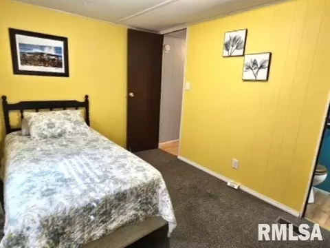108 Juneberry Dr, Flora, IL 62839 photo 25