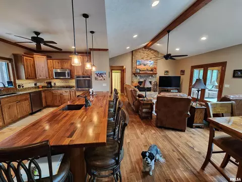 215 Ozark Rd, Simpson, IL 62985 photo 18