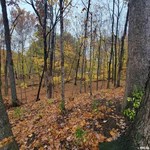 13240 E Smith Rd, Mount Vernon, IL 62864 photo 35