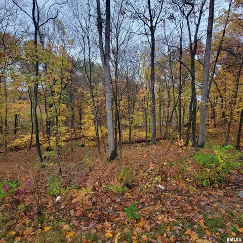 13240 E Smith Rd, Mount Vernon, IL 62864 photo 33
