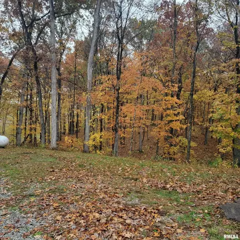 13240 E Smith Rd, Mount Vernon, IL 62864 photo 38