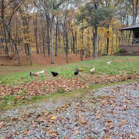 13240 E Smith Rd, Mount Vernon, IL 62864 photo 37