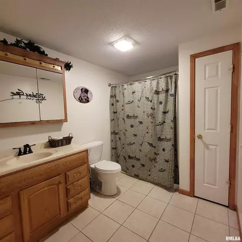 13240 E Smith Rd, Mount Vernon, IL 62864 photo 31