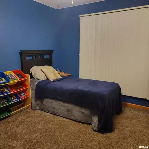13240 E Smith Rd, Mount Vernon, IL 62864 photo 22
