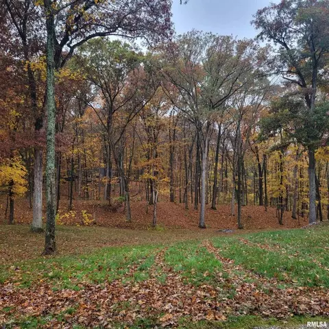 13240 E Smith Rd, Mount Vernon, IL 62864 photo 40