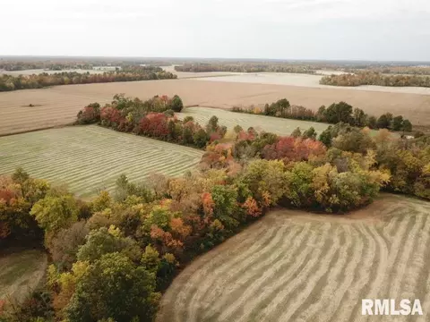 000 E Freesia Rd, Mt Vernon, IL 62865