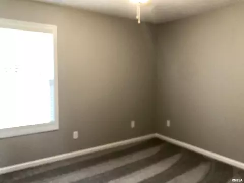 106 Olivia Dr, Marion, IL 62959 photo 13