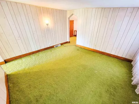 8433 Old Highway 50, Flora, IL 62839 photo 39