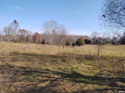 578 Mount Shelter Rd, Vienna, IL 62995