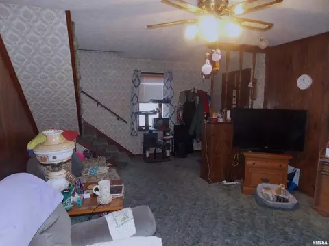 110 W Hardin St, Centralia, IL 62801 photo 7