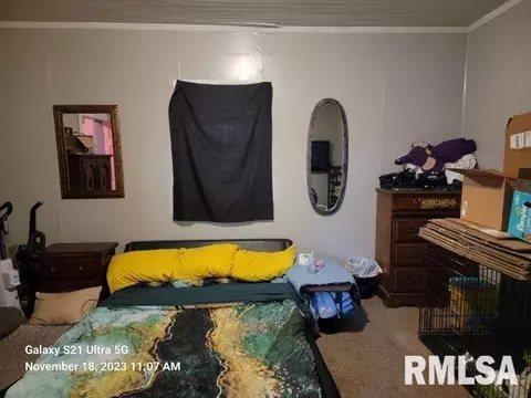 409 E 9th St, Johnston City, IL 62951 photo 15