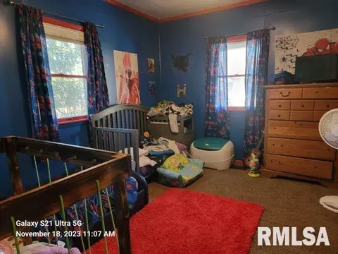 409 E 9th St, Johnston City, IL 62951 photo 13
