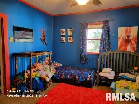 409 E 9th St, Johnston City, IL 62951 photo 12