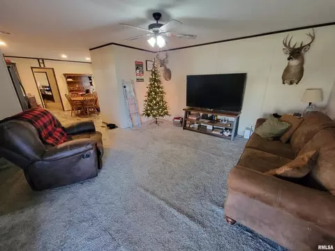323 S Sycamore St, Flora, IL 62839 photo 11