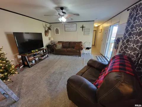 323 S Sycamore St, Flora, IL 62839 photo 9