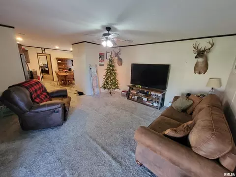 323 S Sycamore St, Flora, IL 62839 photo 10