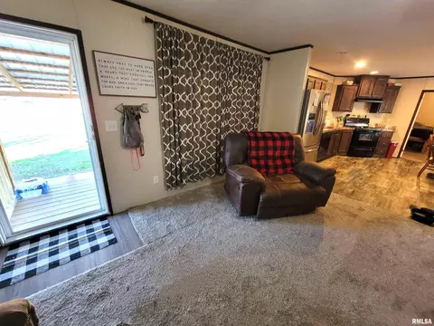 323 S Sycamore St, Flora, IL 62839 photo 12