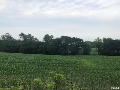 000 Tyler Bridge Rd, Creal Springs, IL 62922
