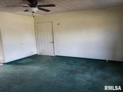 703 Brickyard Rd, Mount Vernon, IL 62864 photo 2