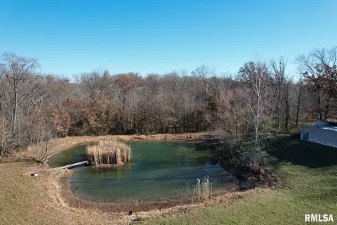 5339 E Dix Irvington Rd, Walnut Hill, IL 62893 photo 7