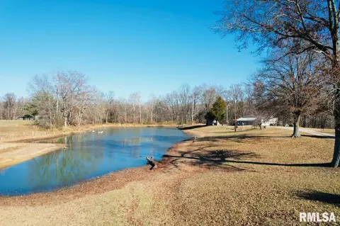 5339 E Dix Irvington Rd, Walnut Hill, IL 62893 photo 6
