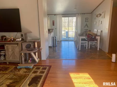 5339 E Dix Irvington Rd, Walnut Hill, IL 62893 photo 13