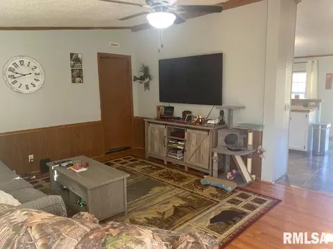 5339 E Dix Irvington Rd, Walnut Hill, IL 62893 photo 12