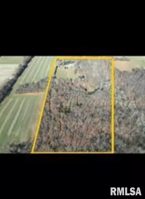 5339 E Dix Irvington Rd, Walnut Hill, IL 62893 photo 29