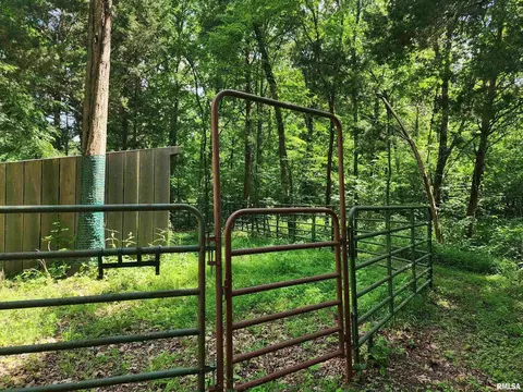 00 Cedar Grove Rd, Simpson, IL 62985 photo 25