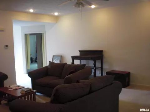 604 Lake Harbor Dr, Marion, IL 62959 photo 2