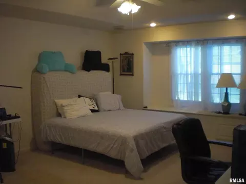 604 Lake Harbor Dr, Marion, IL 62959 photo 9
