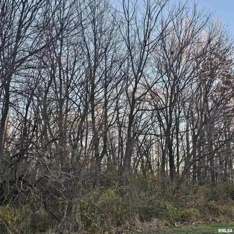735 Dusty Rd, Eldorado, IL 62930 photo 2