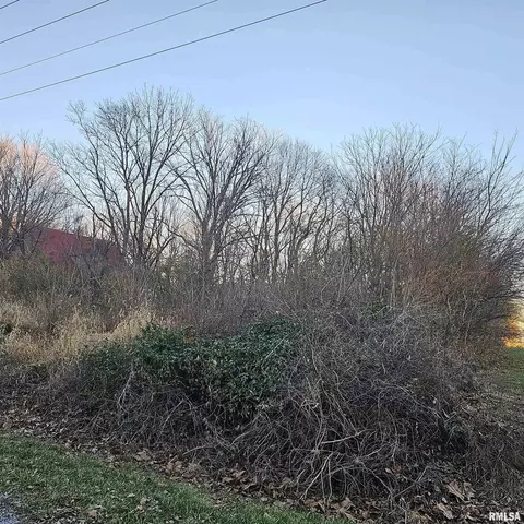735 Dusty Rd, Eldorado, IL 62930 photo 3