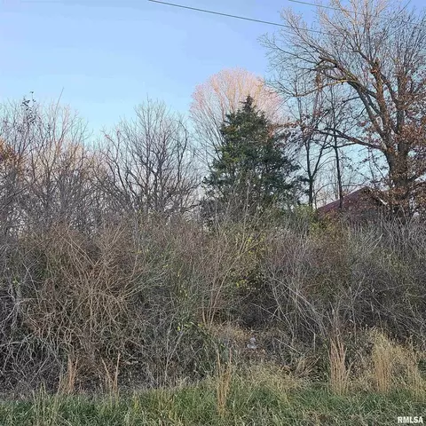 735 Dusty Rd, Eldorado, IL 62930 photo 4