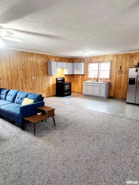 301 E Chicago Ave, Orient, IL 62874 photo 10