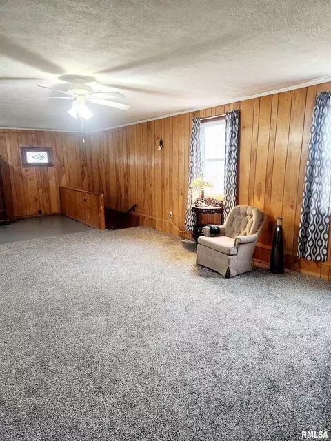 301 E Chicago Ave, Orient, IL 62874 photo 18