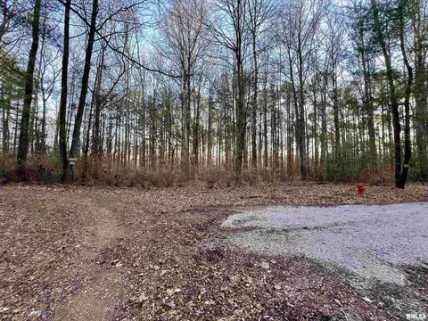 000 River Rock Rd, Murphysboro, IL 62966 photo 15