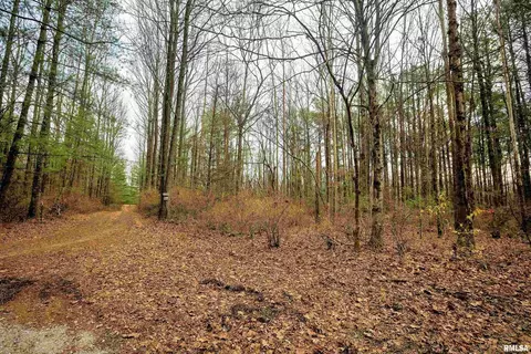 000 River Rock Rd, Murphysboro, IL 62966 photo 18