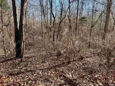 000 River Rock Rd, Murphysboro, IL 62966 photo 13