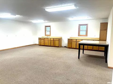 2397 Emerson City Rd, Scheller, IL 62883 photo 6