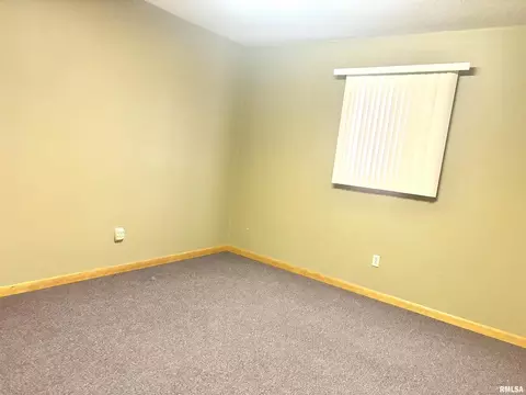 2397 Emerson City Rd, Scheller, IL 62883 photo 9