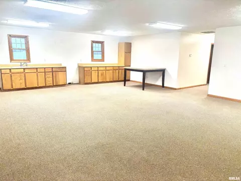 2397 Emerson City Rd, Scheller, IL 62883 photo 5