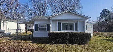 1111 Burgess Ave, Johnston City, IL 62951