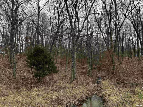 0 Hickory Ln, Woodlawn, IL 62898