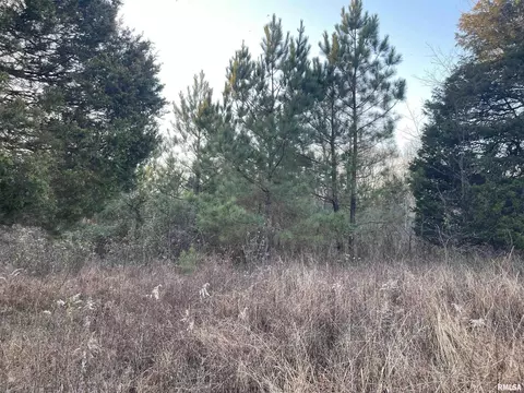000 Raum Rd, Golconda, IL 62938